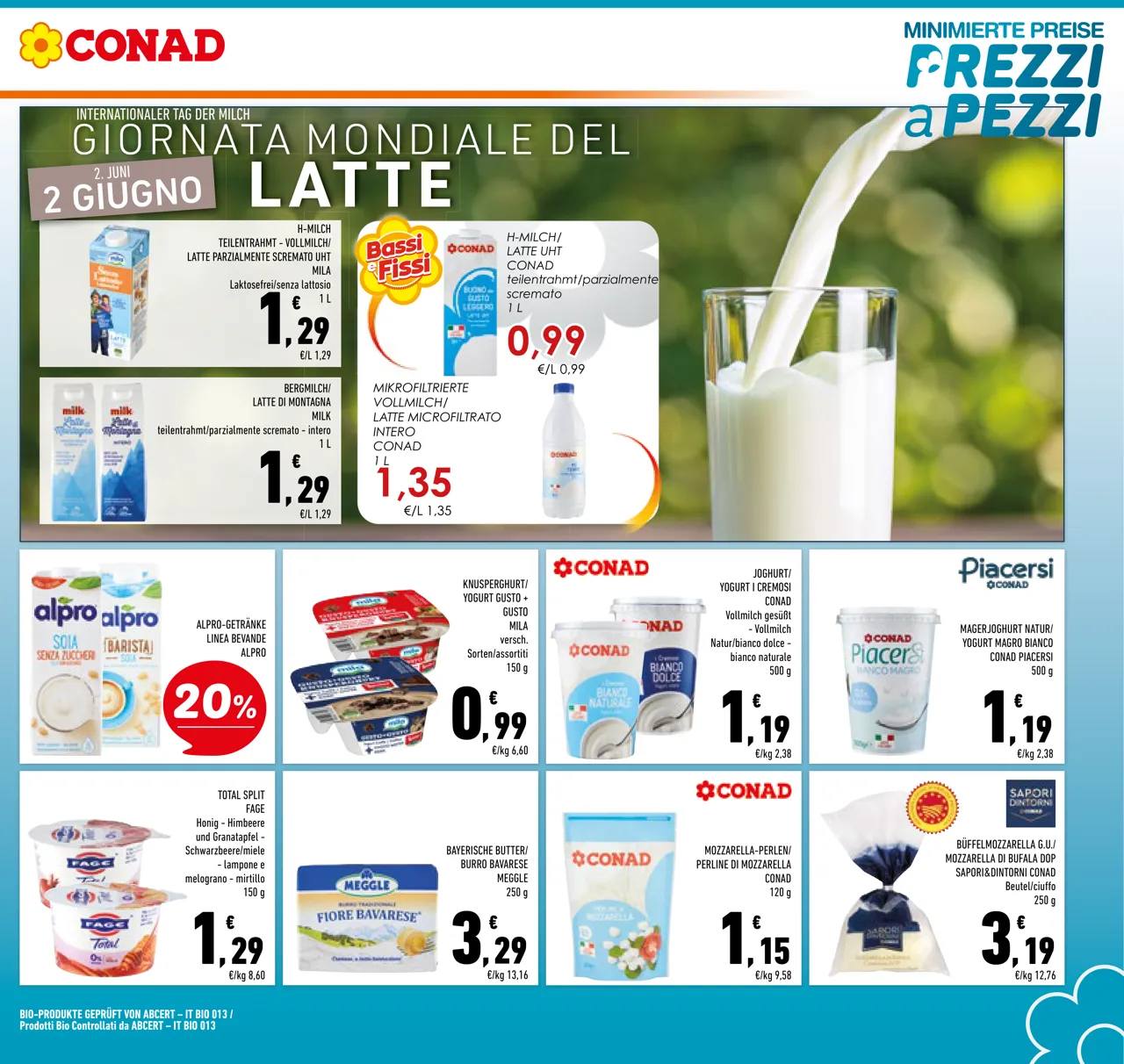 Pagina 11