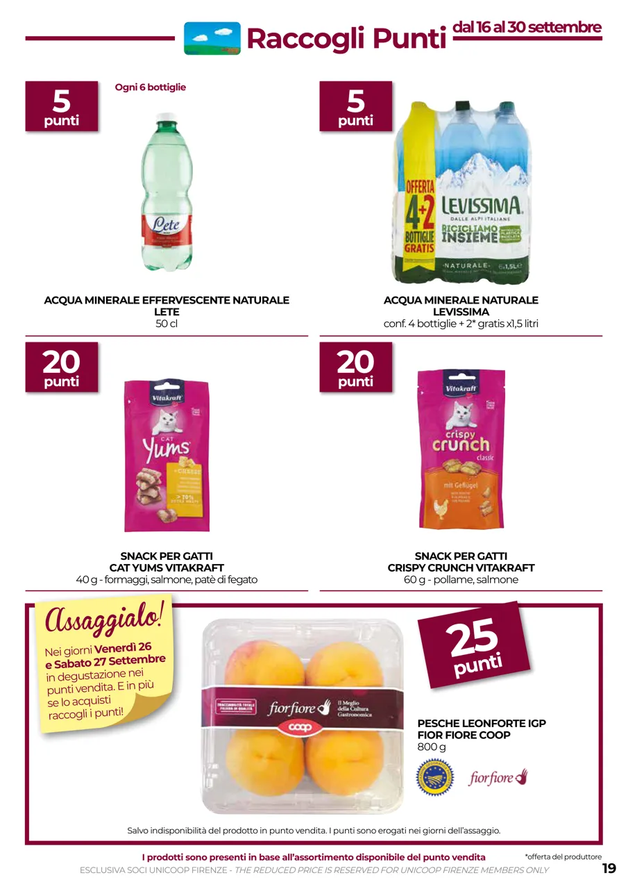 Pagina 19