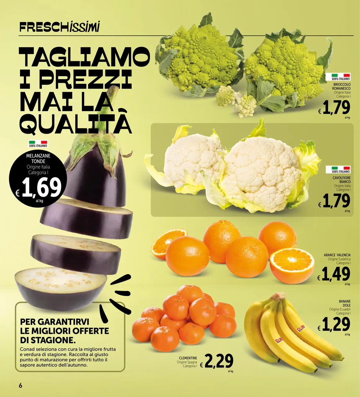 Pagina 6