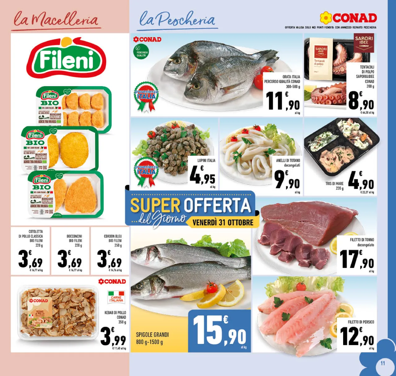 Pagina 11