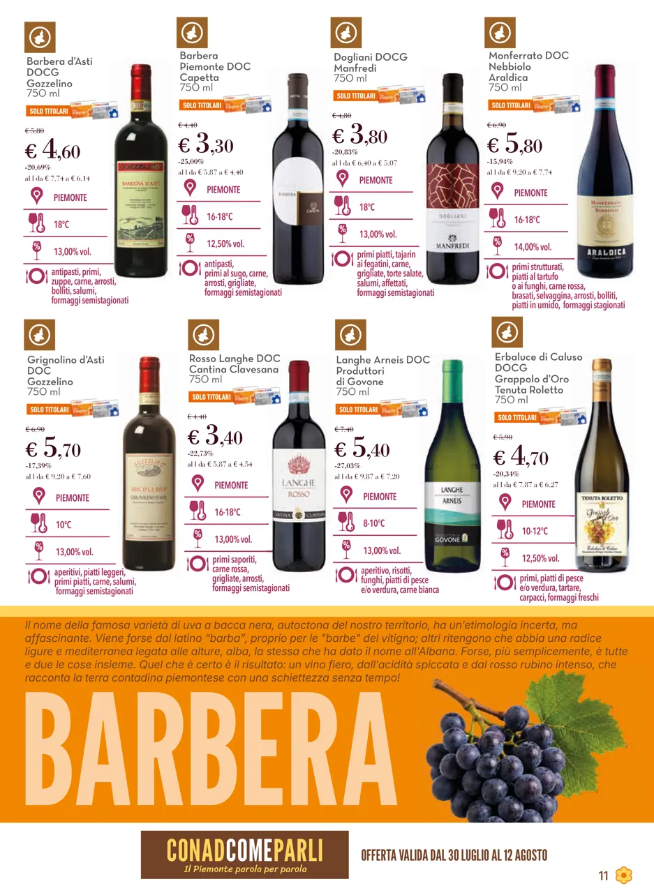 Pagina 11