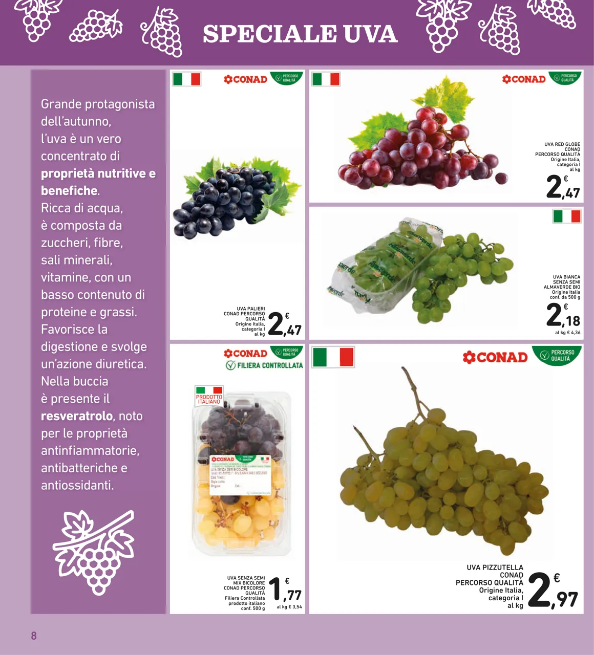 Pagina 8