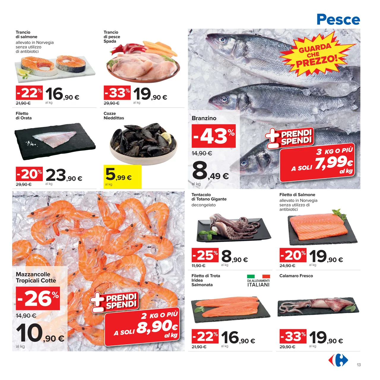 Pagina 13