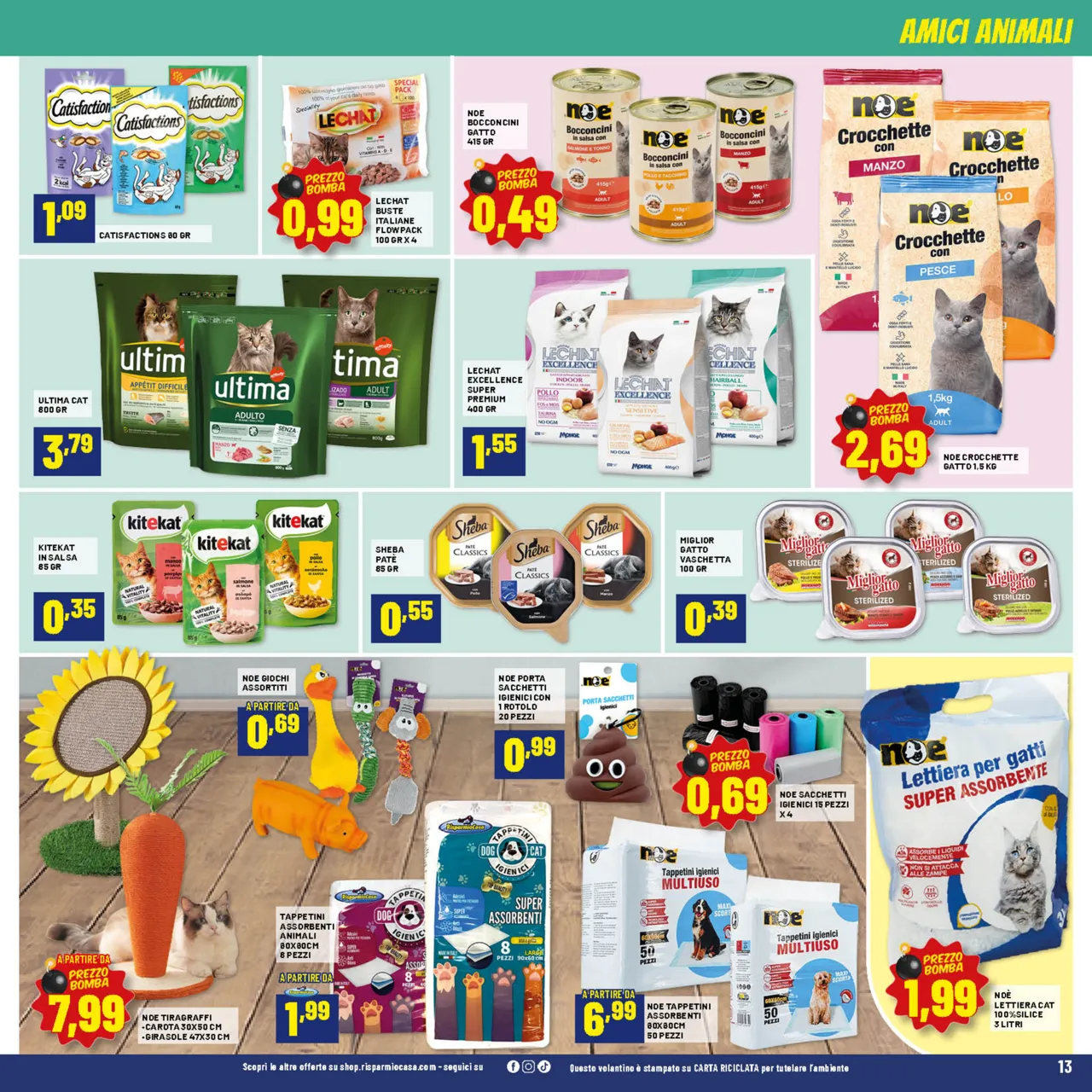 Pagina 13