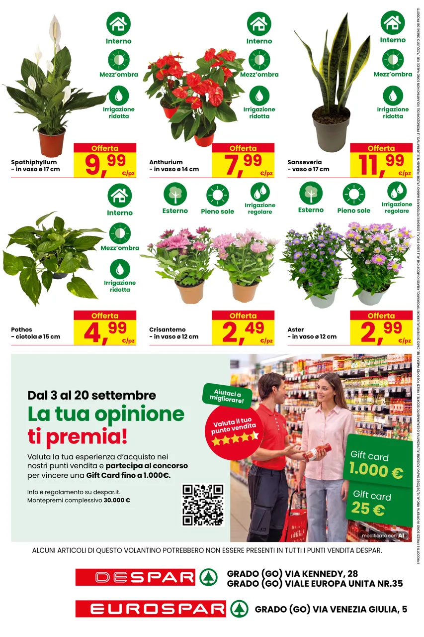 Pagina 16