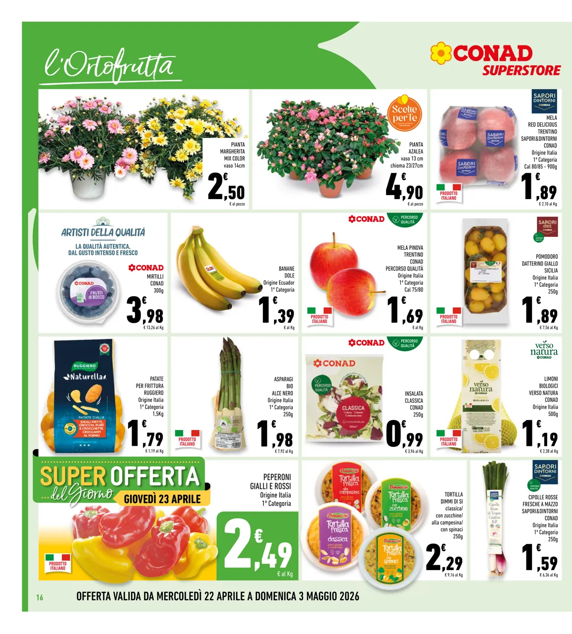 Pagina 16