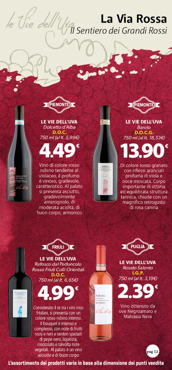 Pagina 12