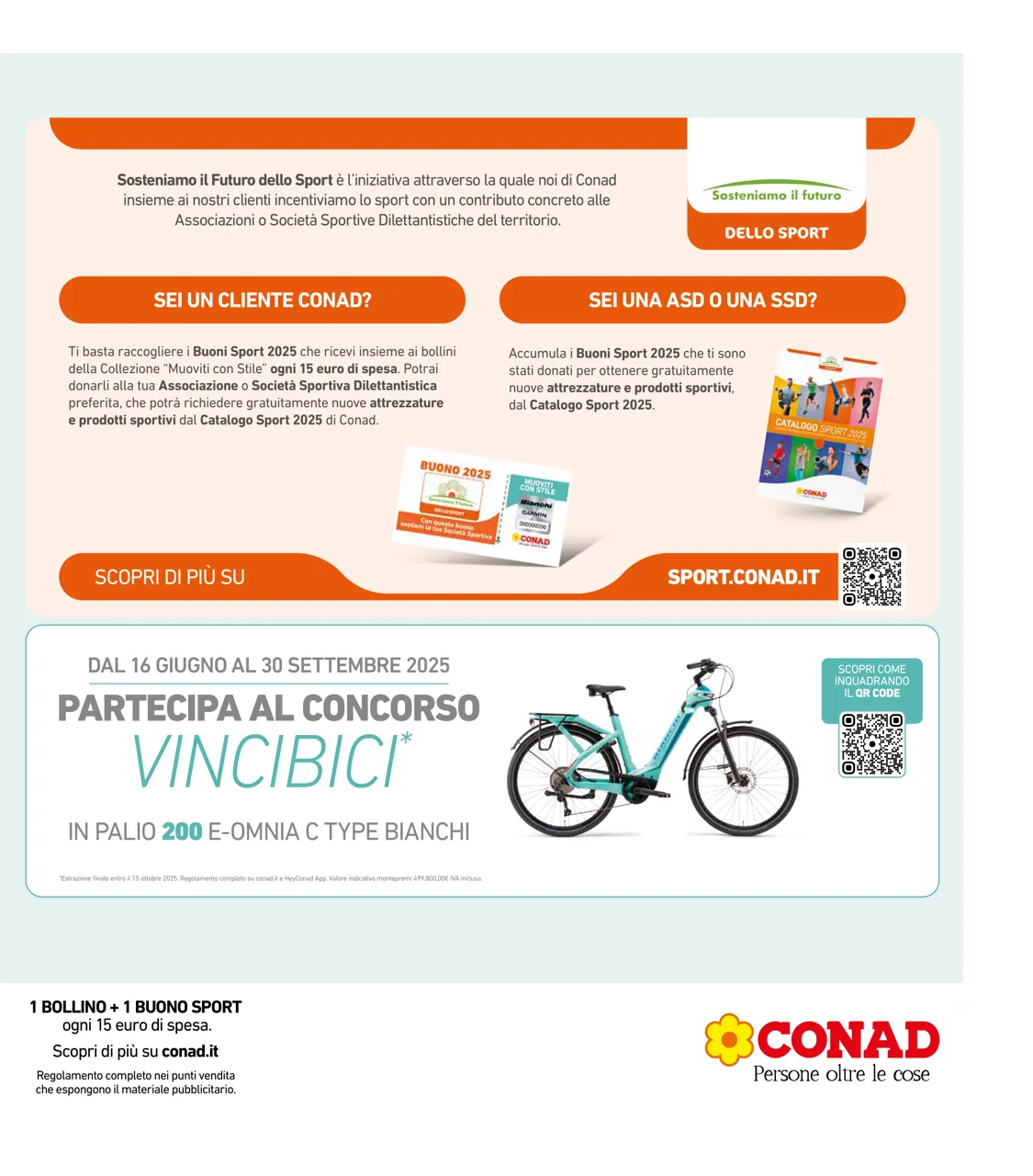Pagina 41