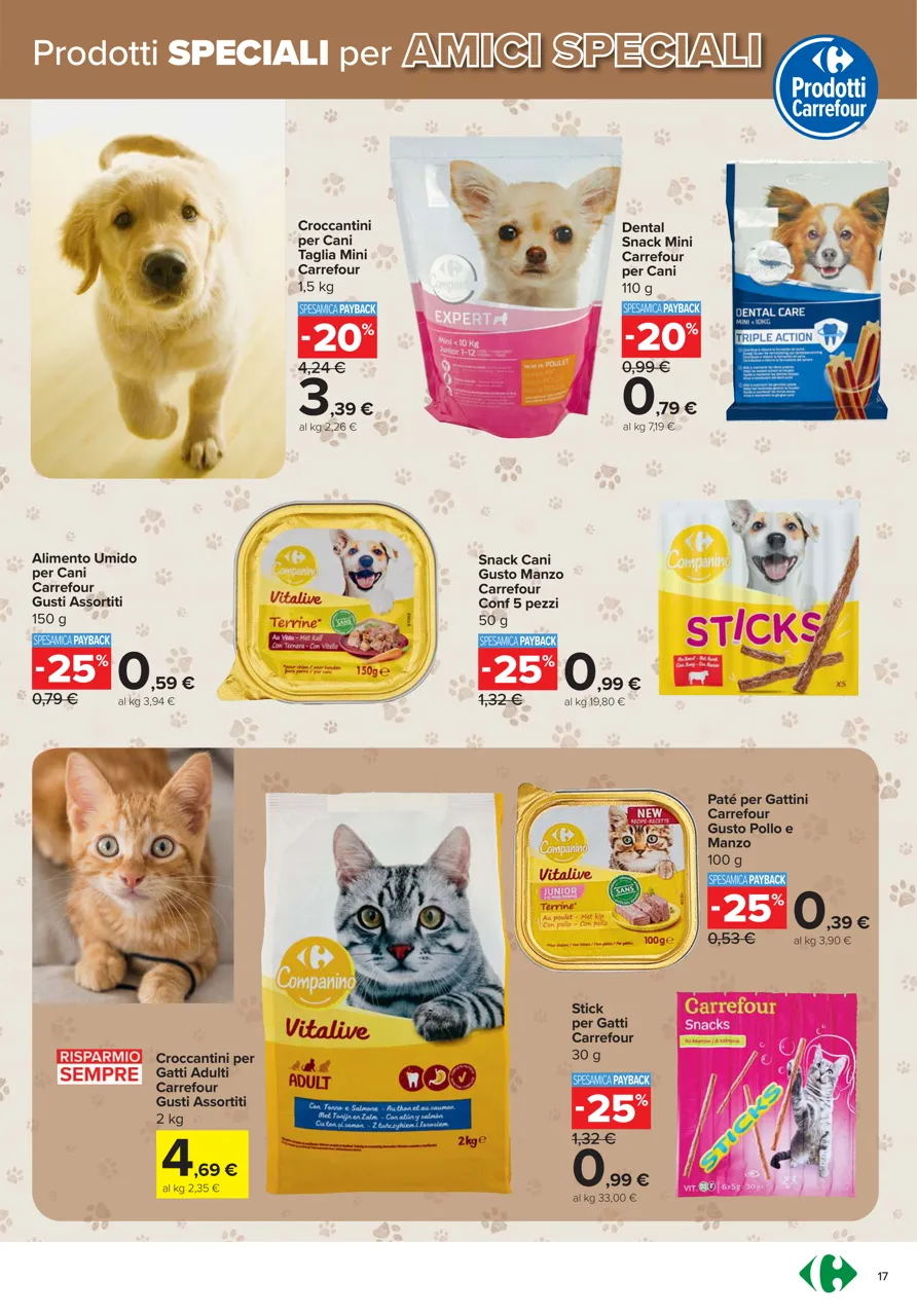 Pagina 17