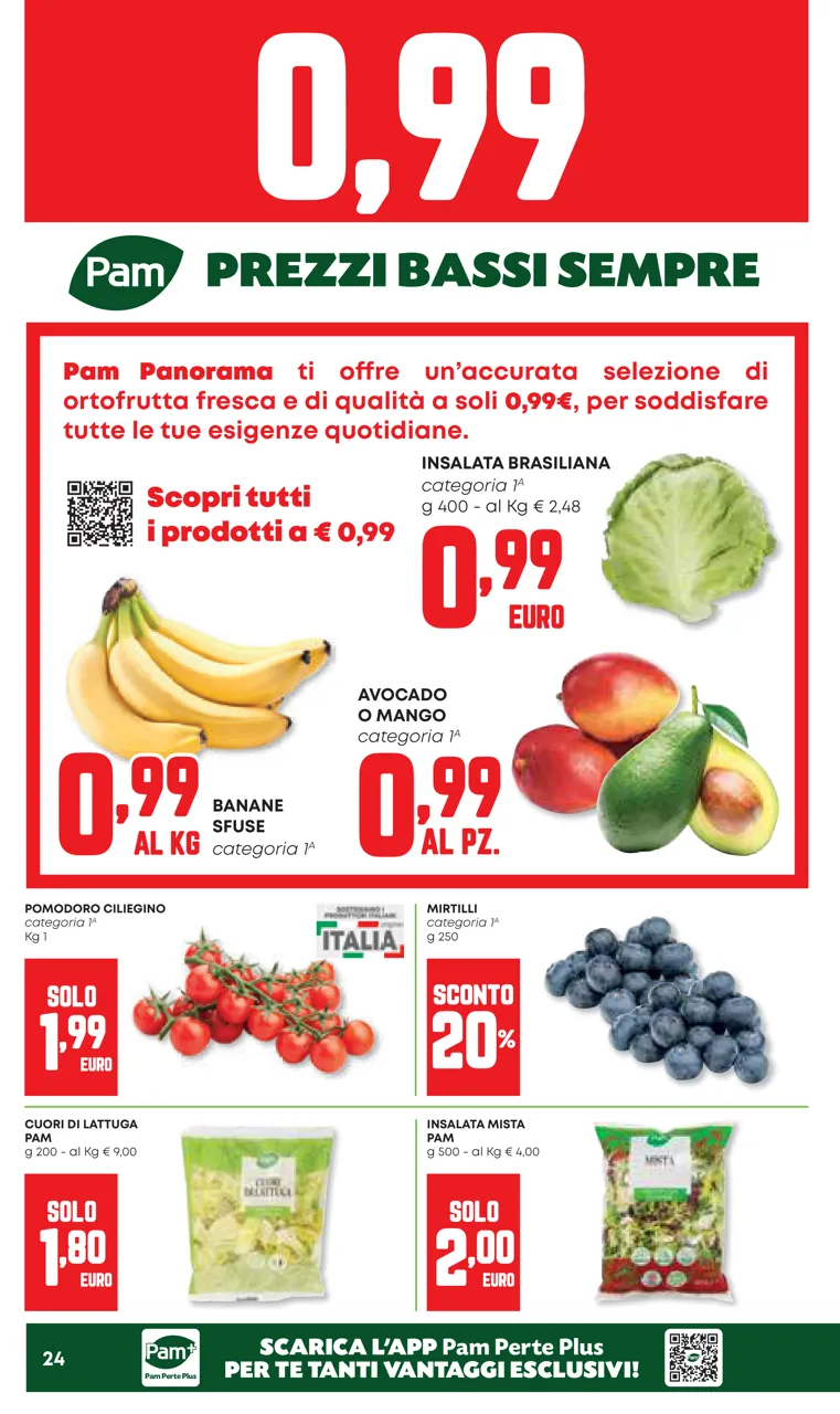 Pagina 24