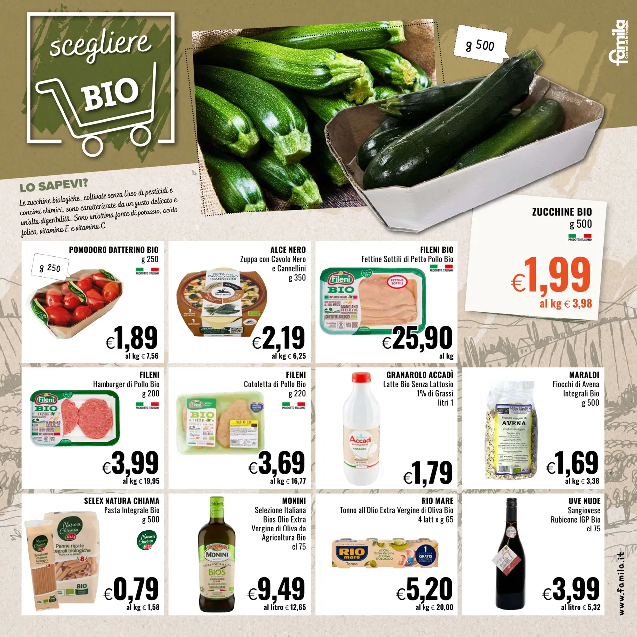 Pagina 7