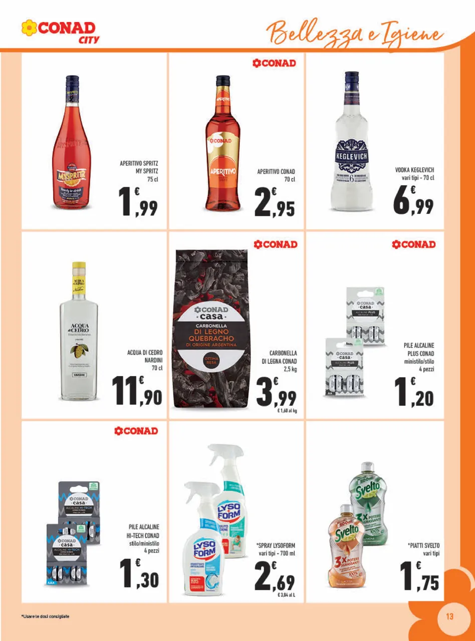 Pagina 13