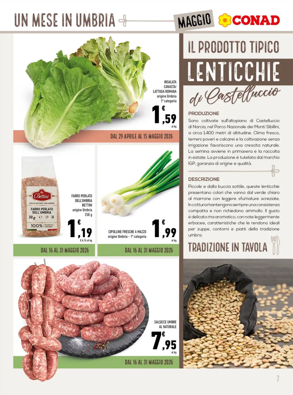 Pagina 7