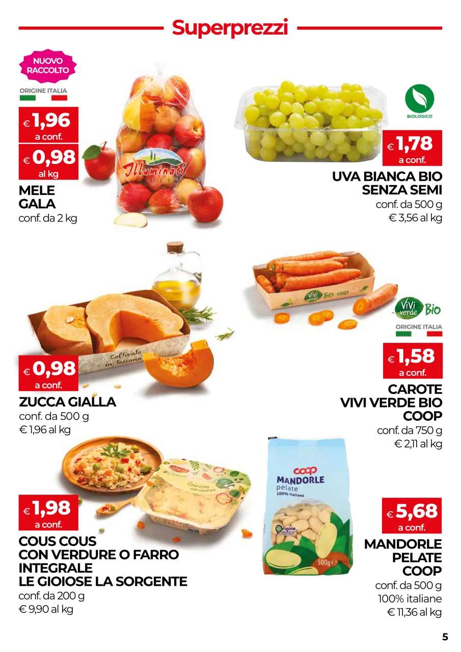 Pagina 5