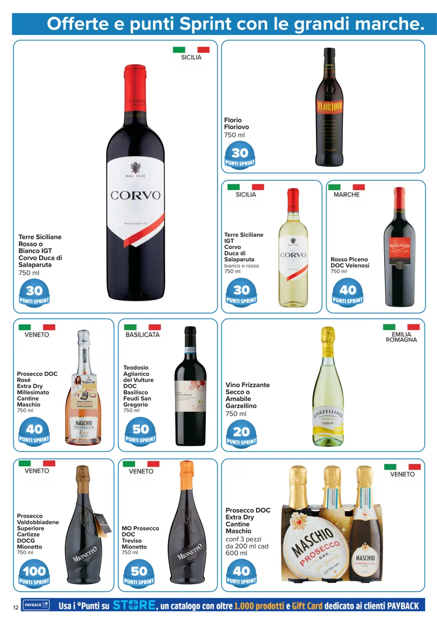 Pagina 12