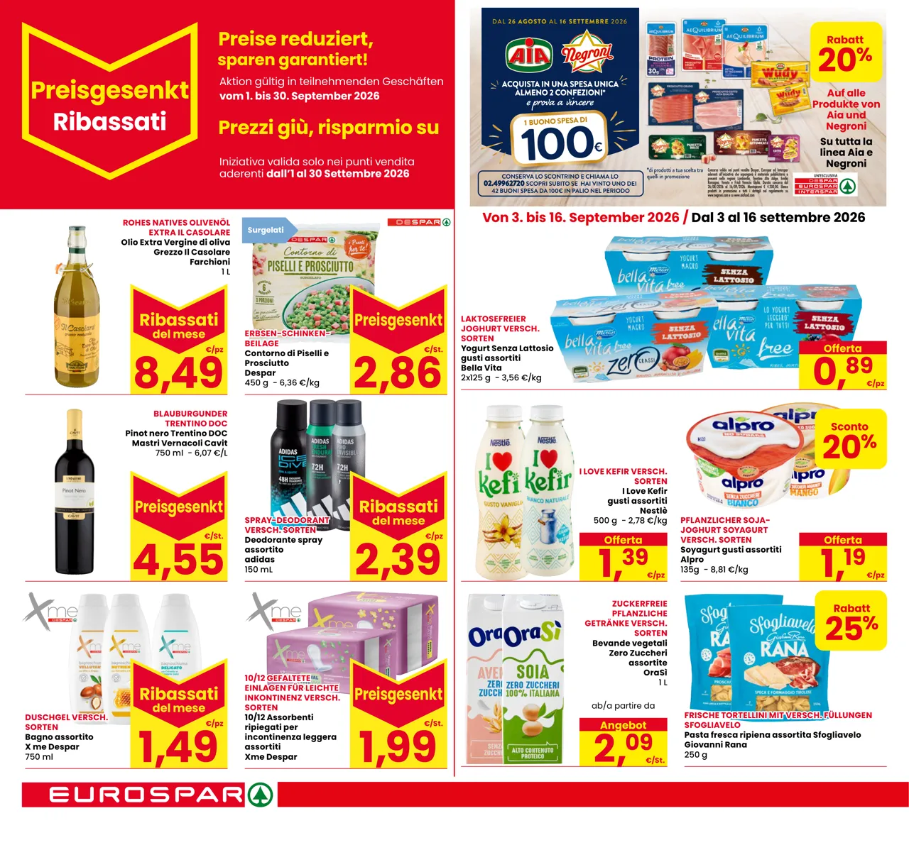 Pagina 12