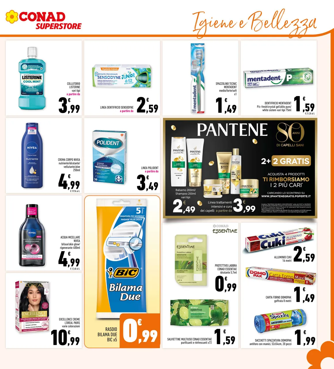 Pagina 29