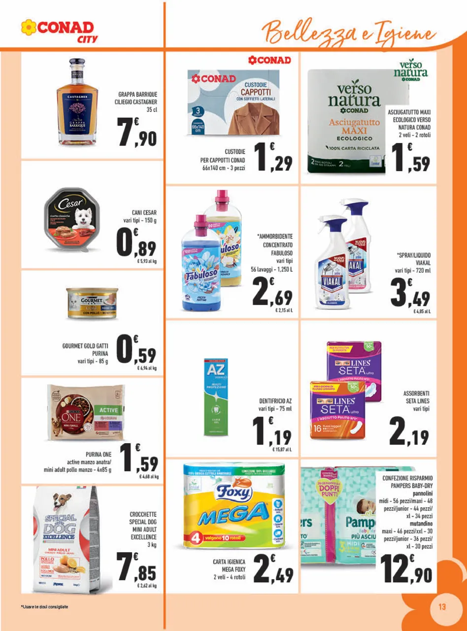 Pagina 13