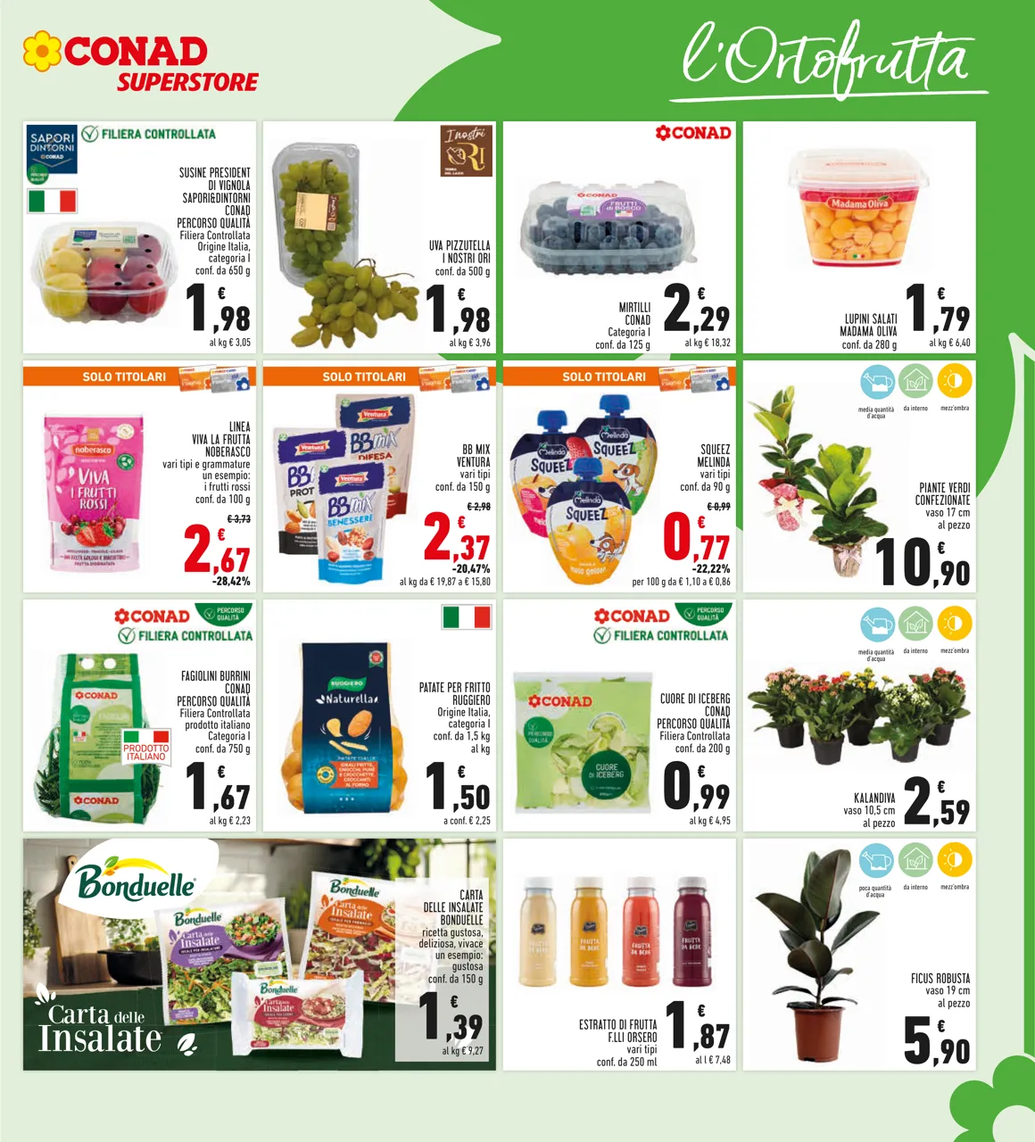 Pagina 11