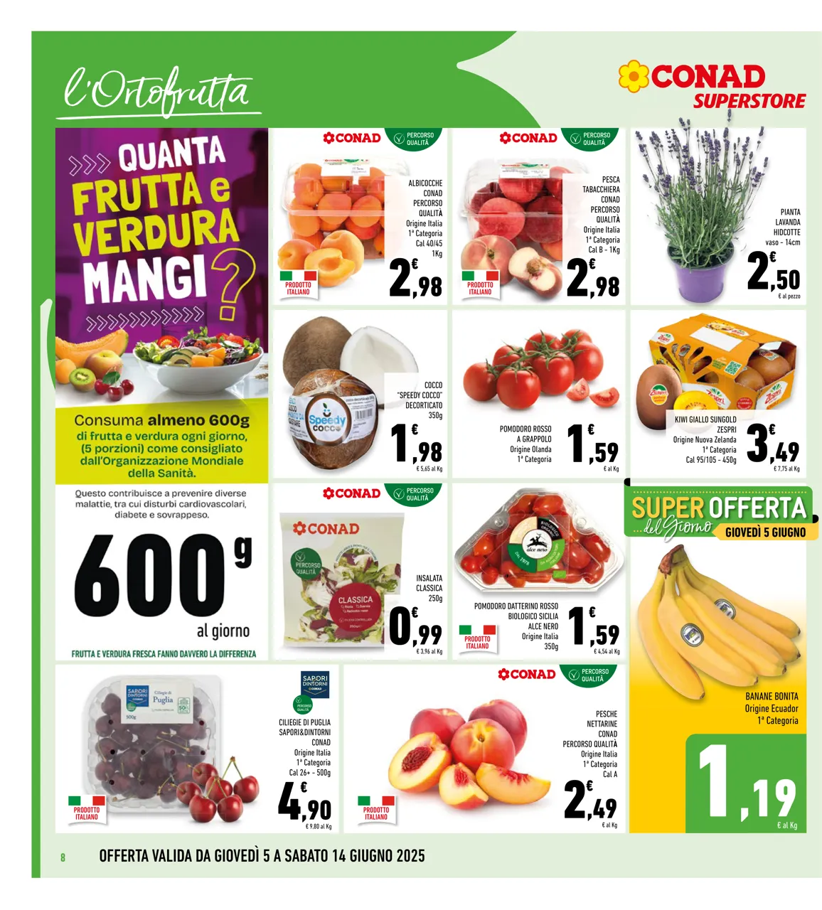 Pagina 8