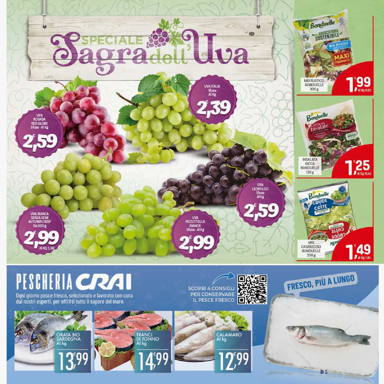 Pagina 5