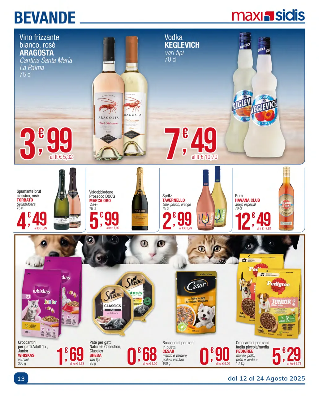Pagina 13