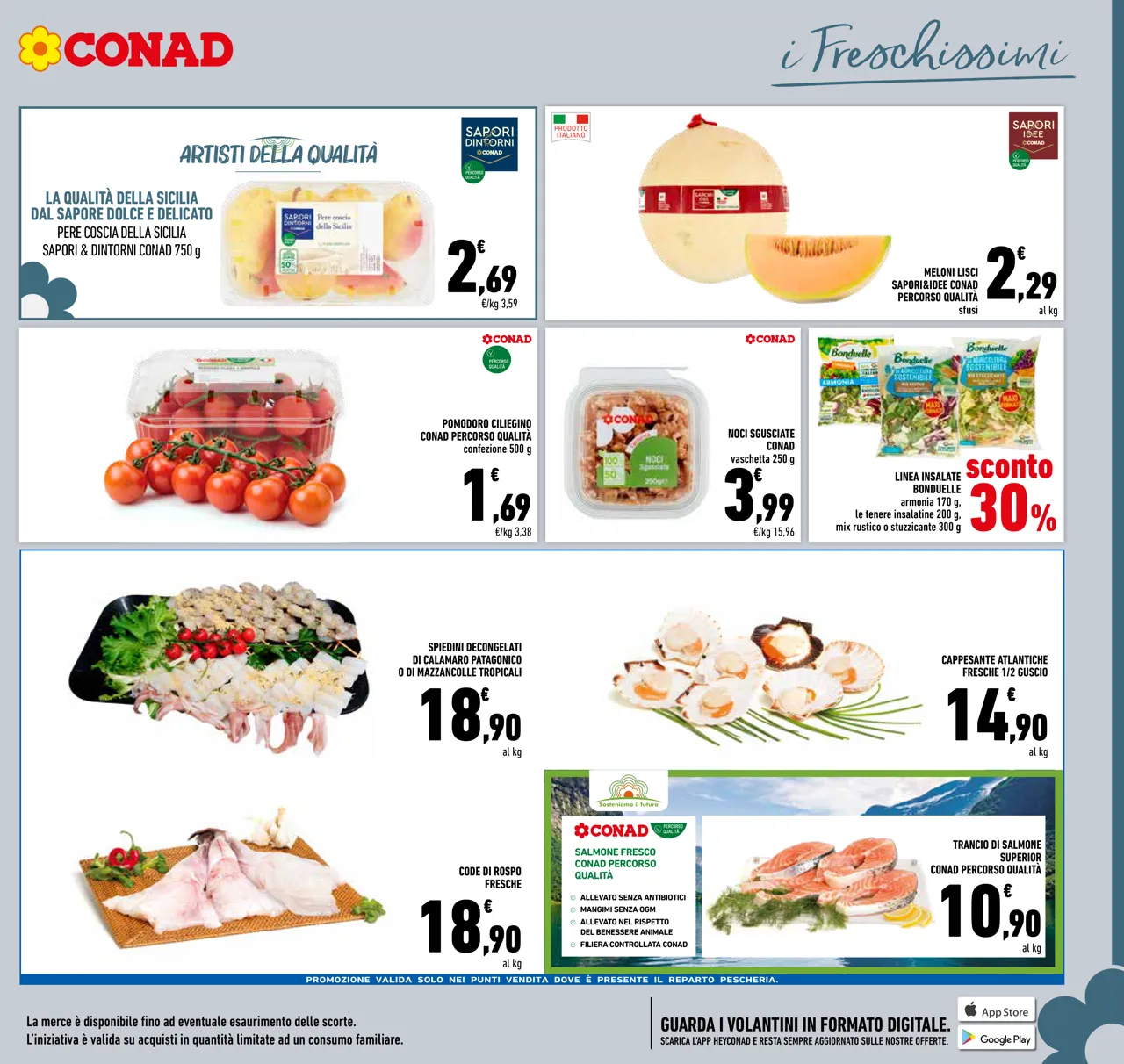 Pagina 13