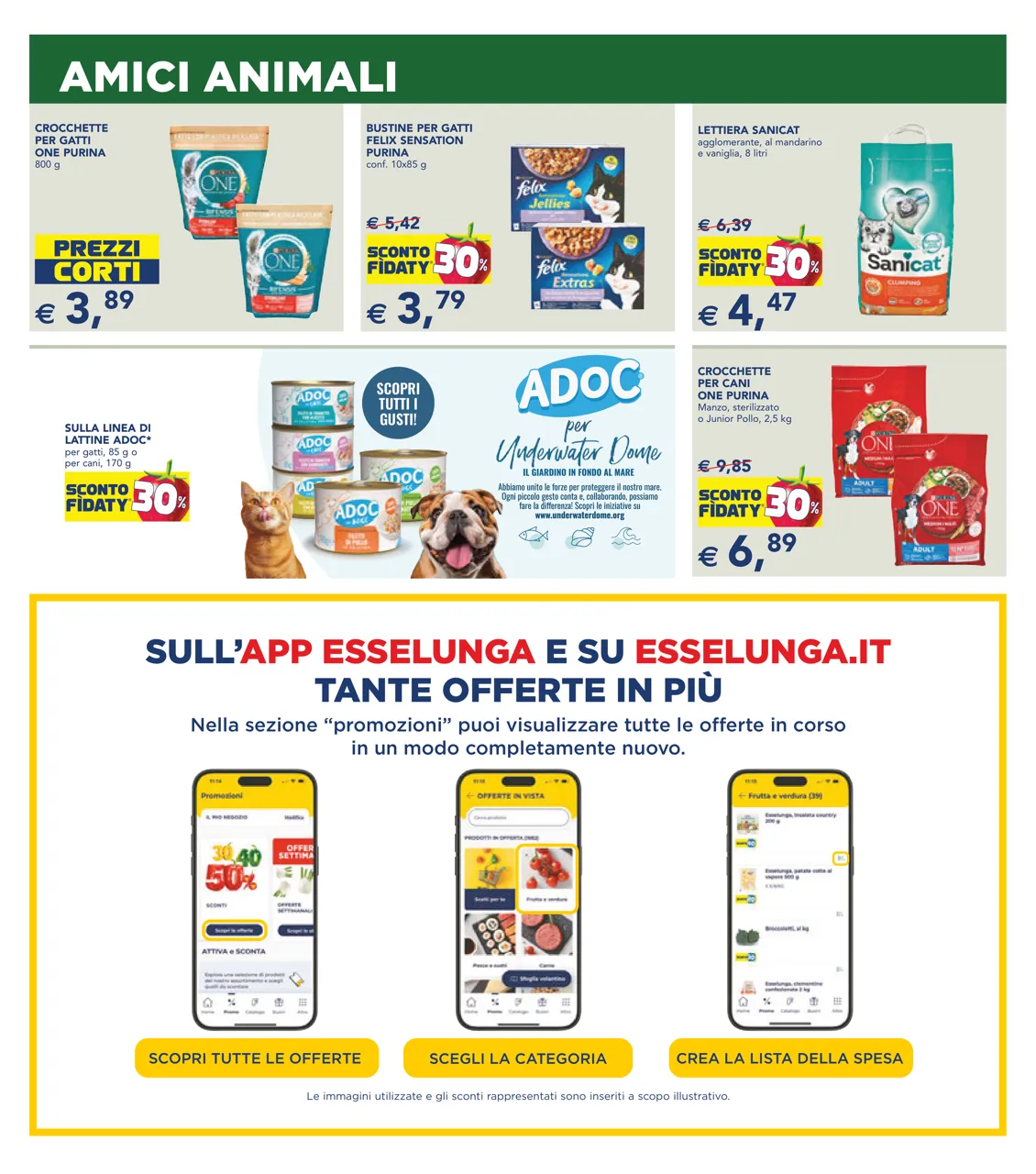 Pagina 17