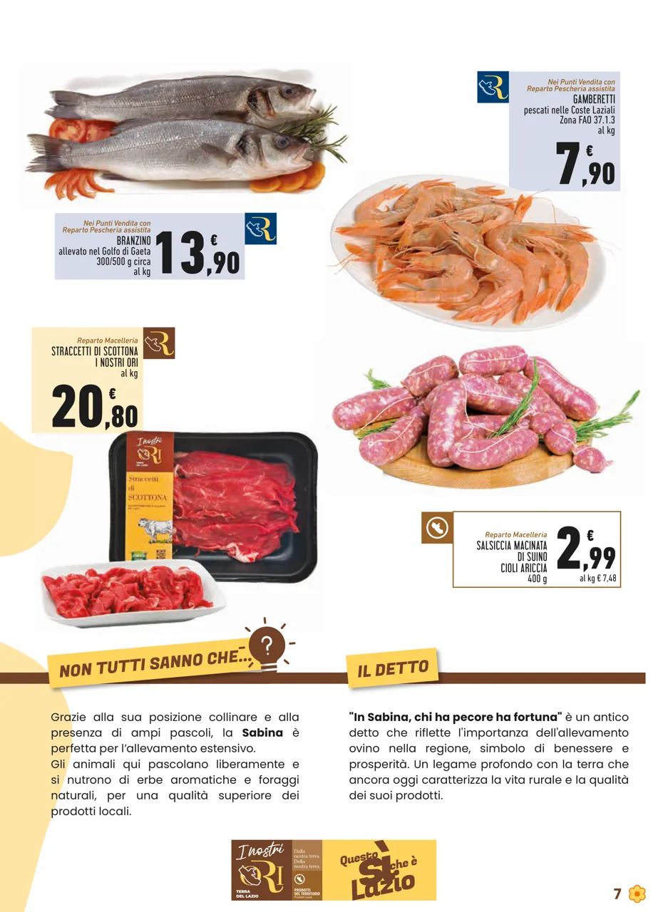 Pagina 7