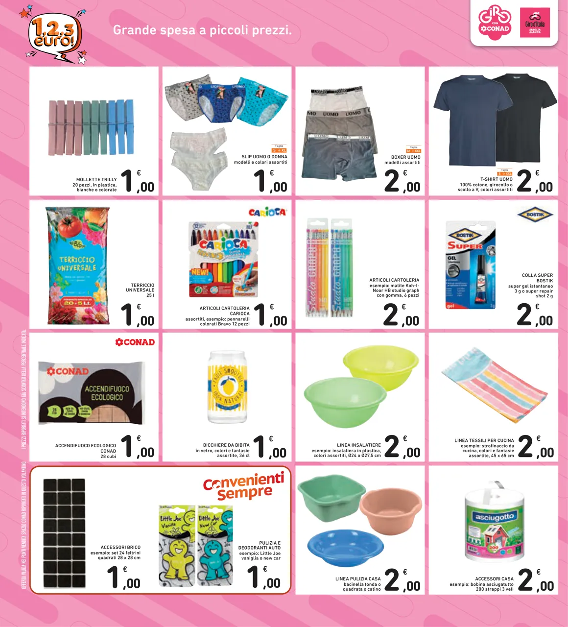 Pagina 12