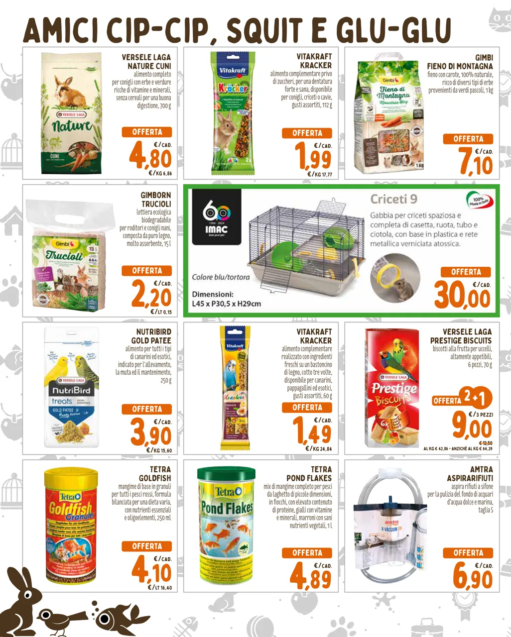 Pagina 6