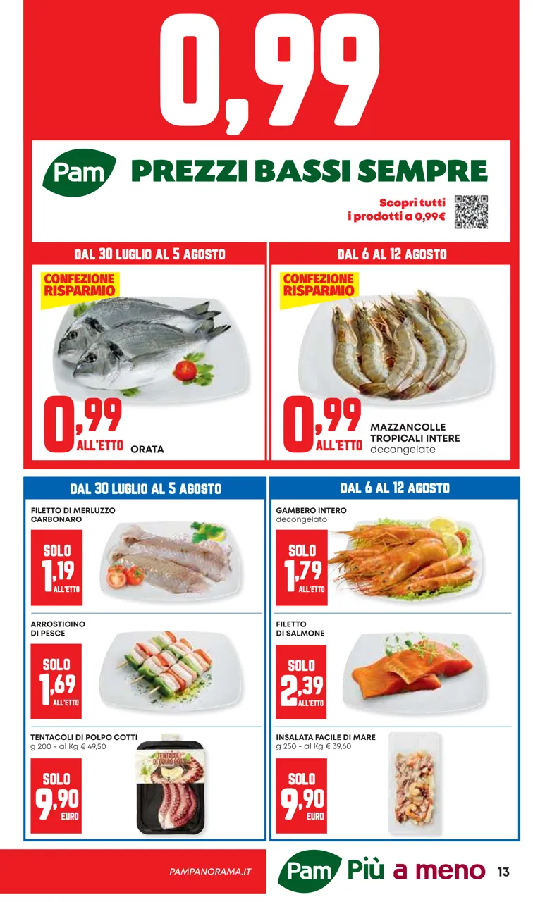 Pagina 13