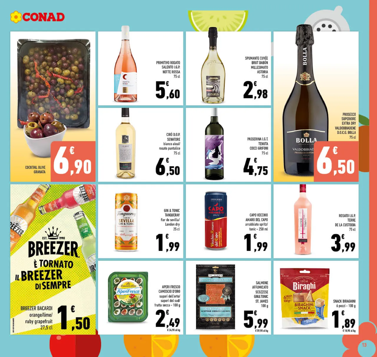 Pagina 13