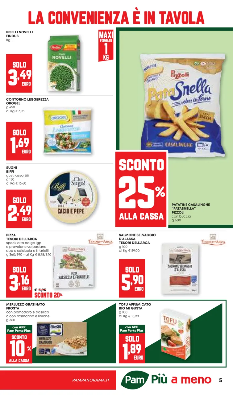 Pagina 5