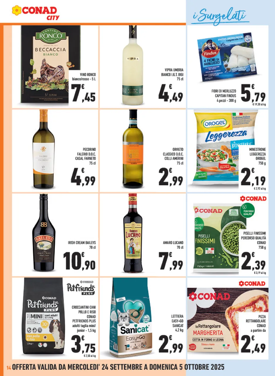 Pagina 14
