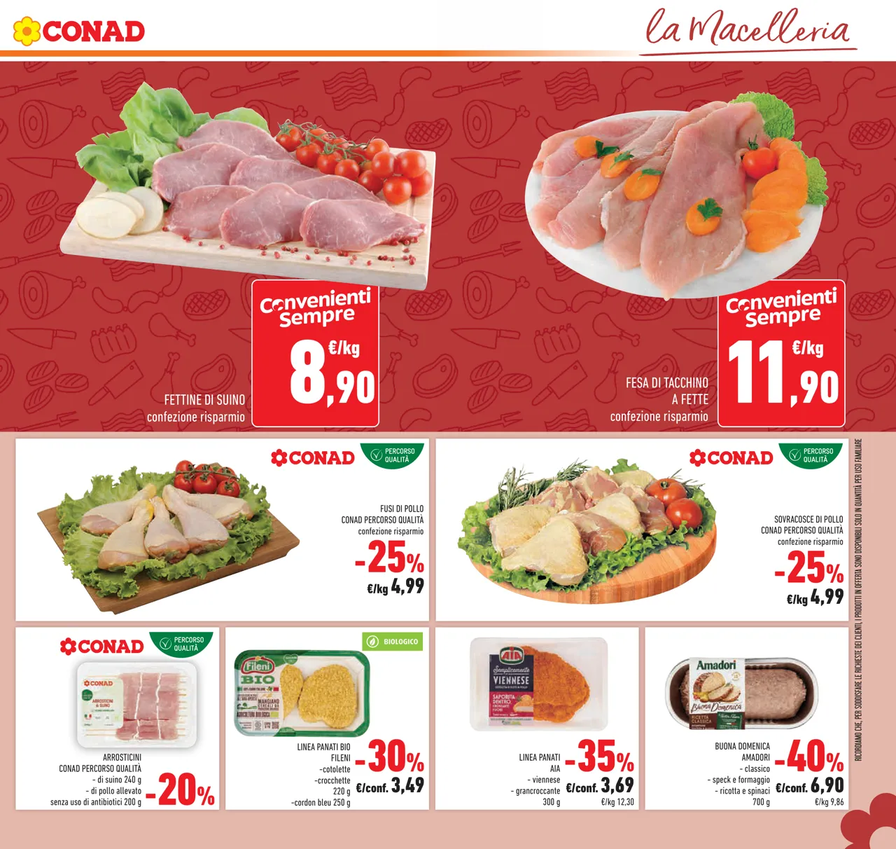 Pagina 11