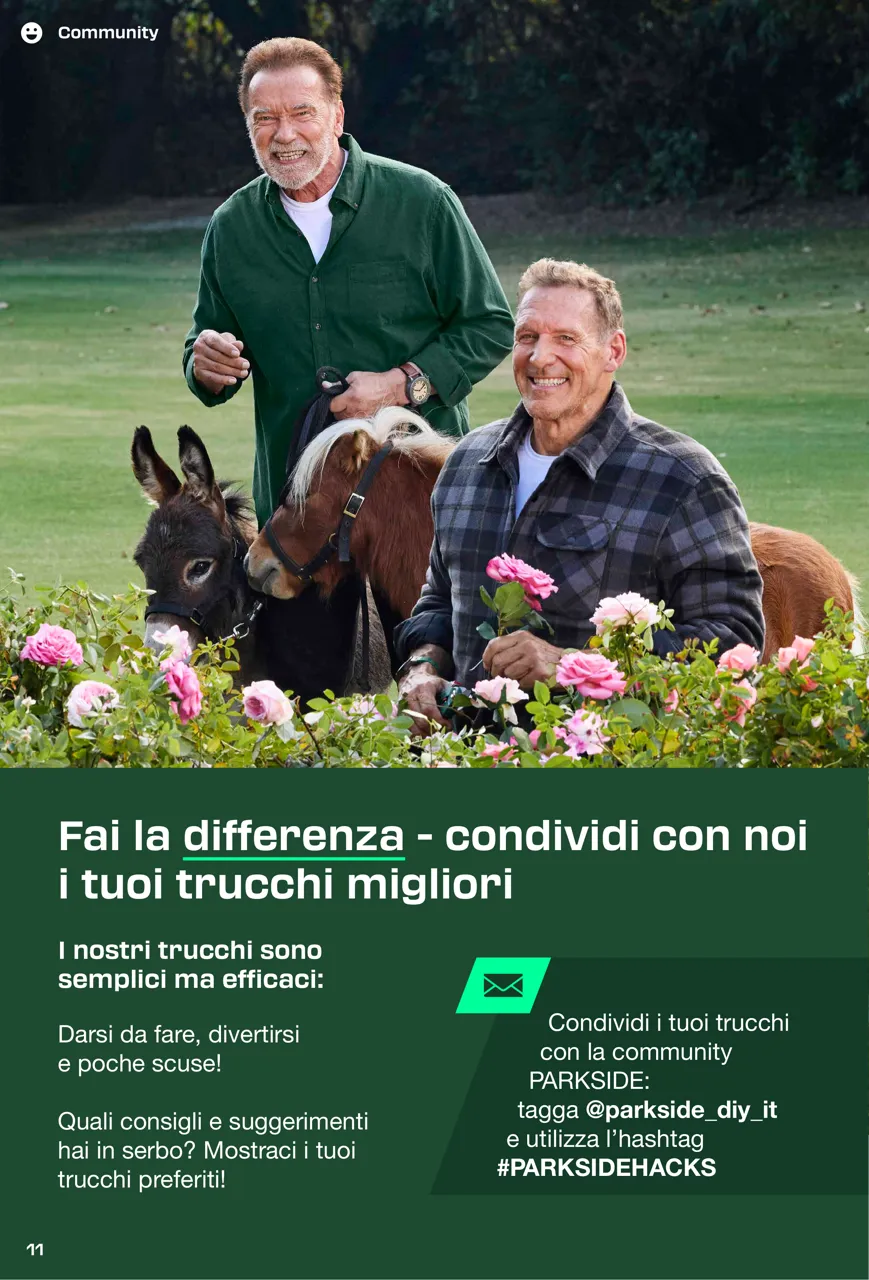 Pagina 11