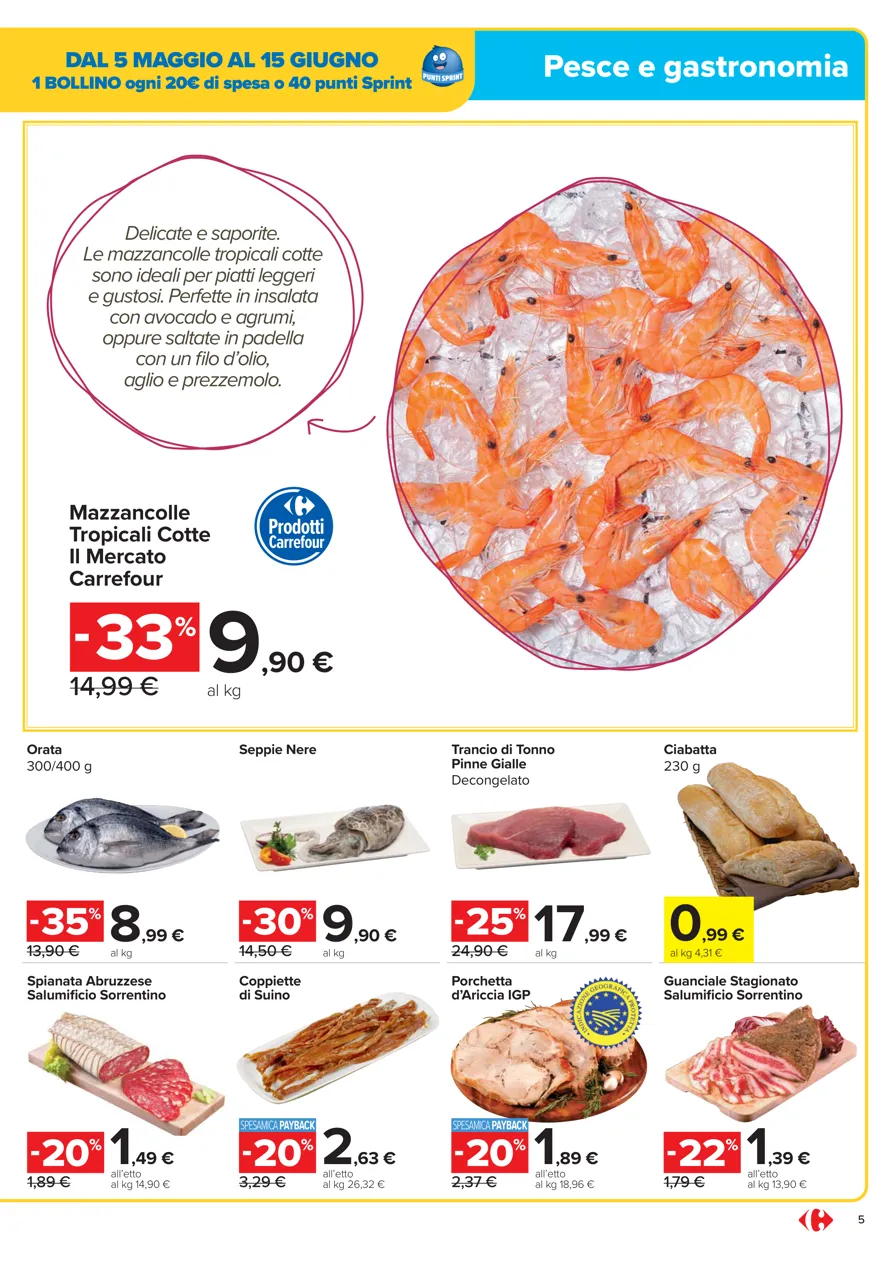 Pagina 5