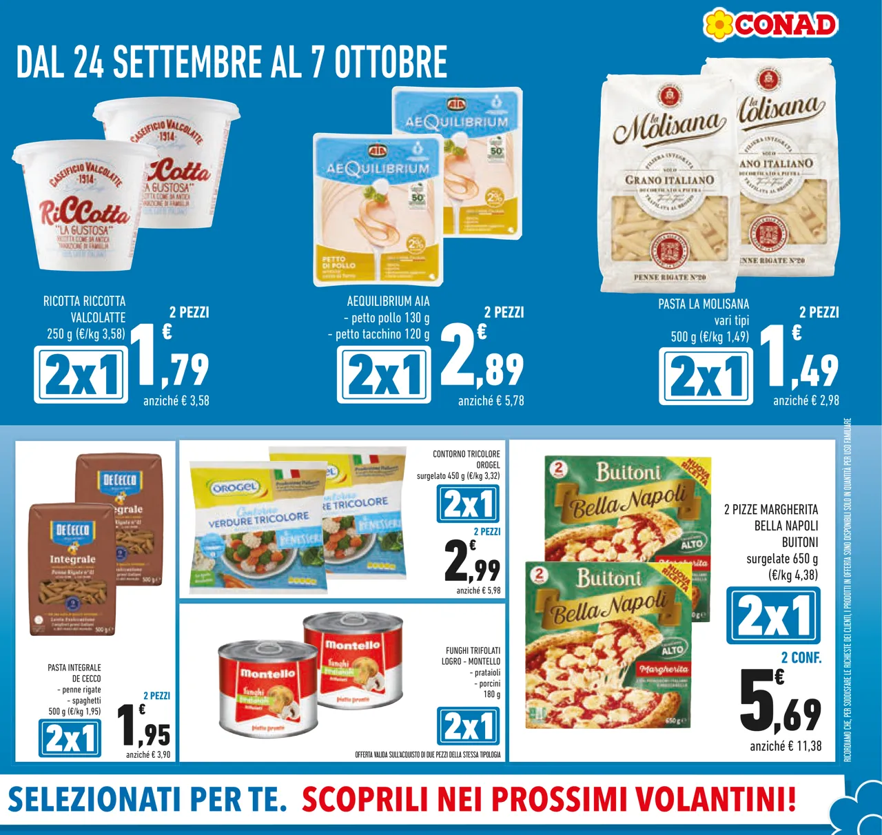 Pagina 5