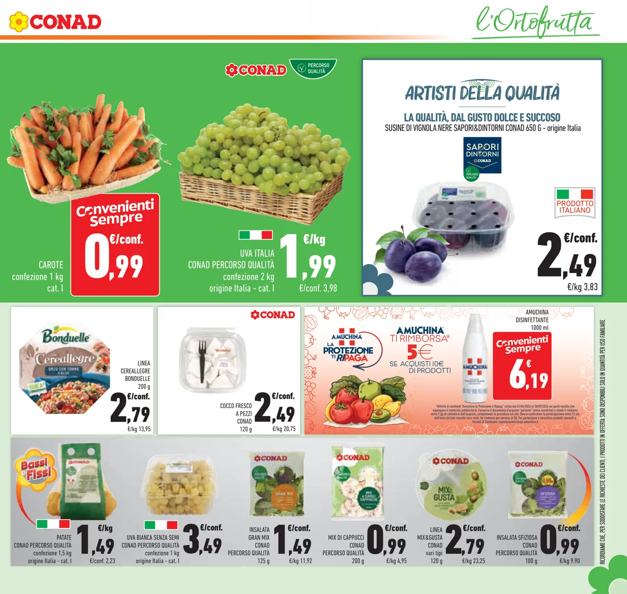 Pagina 27