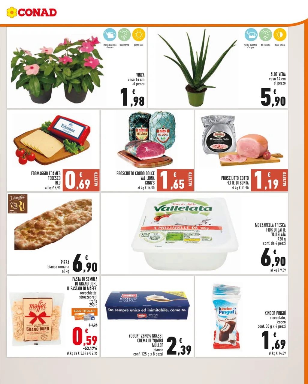 Pagina 3