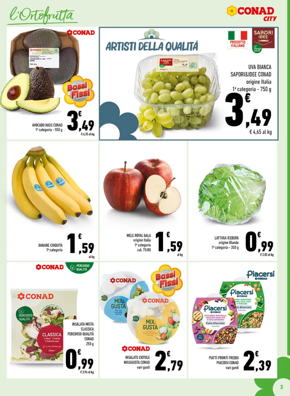 Pagina 3