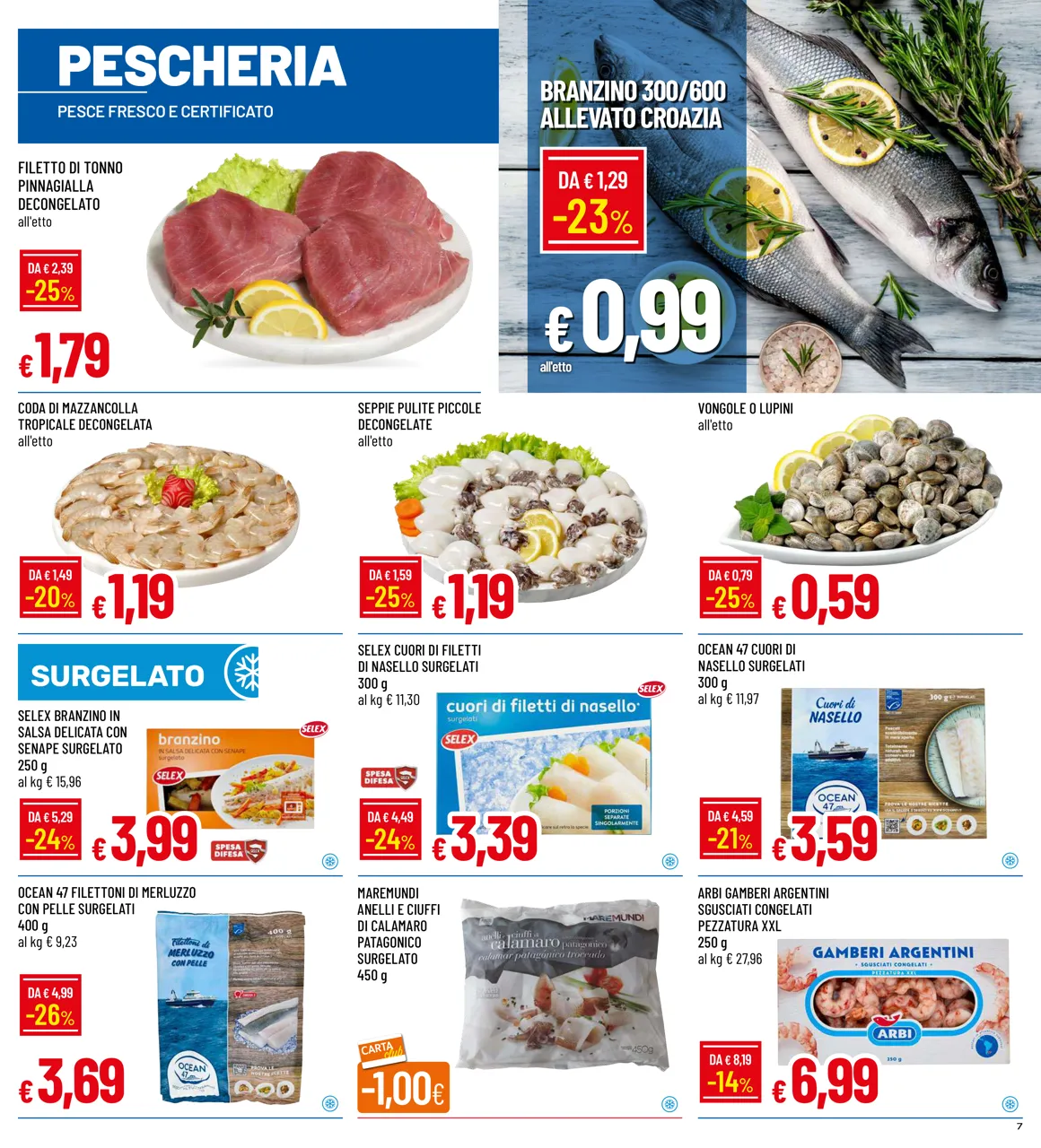 Pagina 7