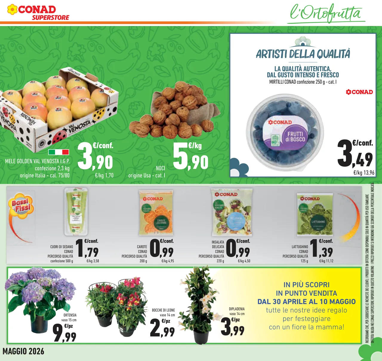 Pagina 11