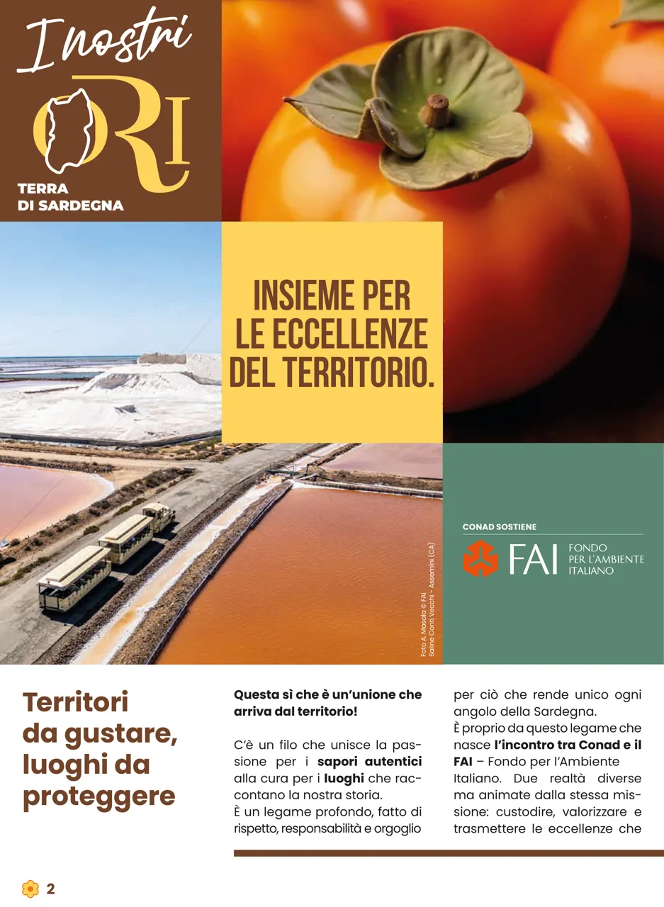 Pagina 2