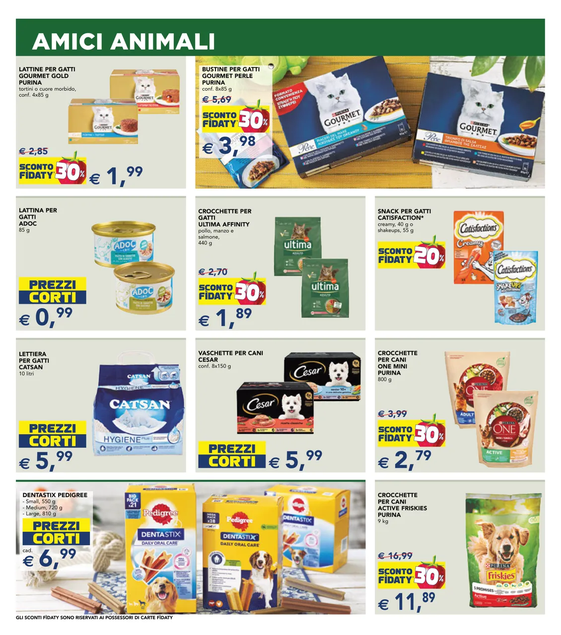 Pagina 19