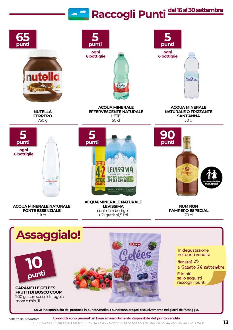 Pagina 13