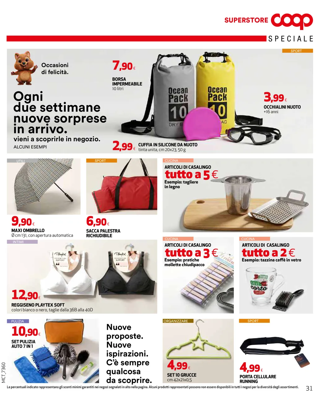 Pagina 31