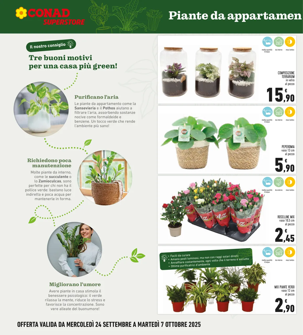 Pagina 6