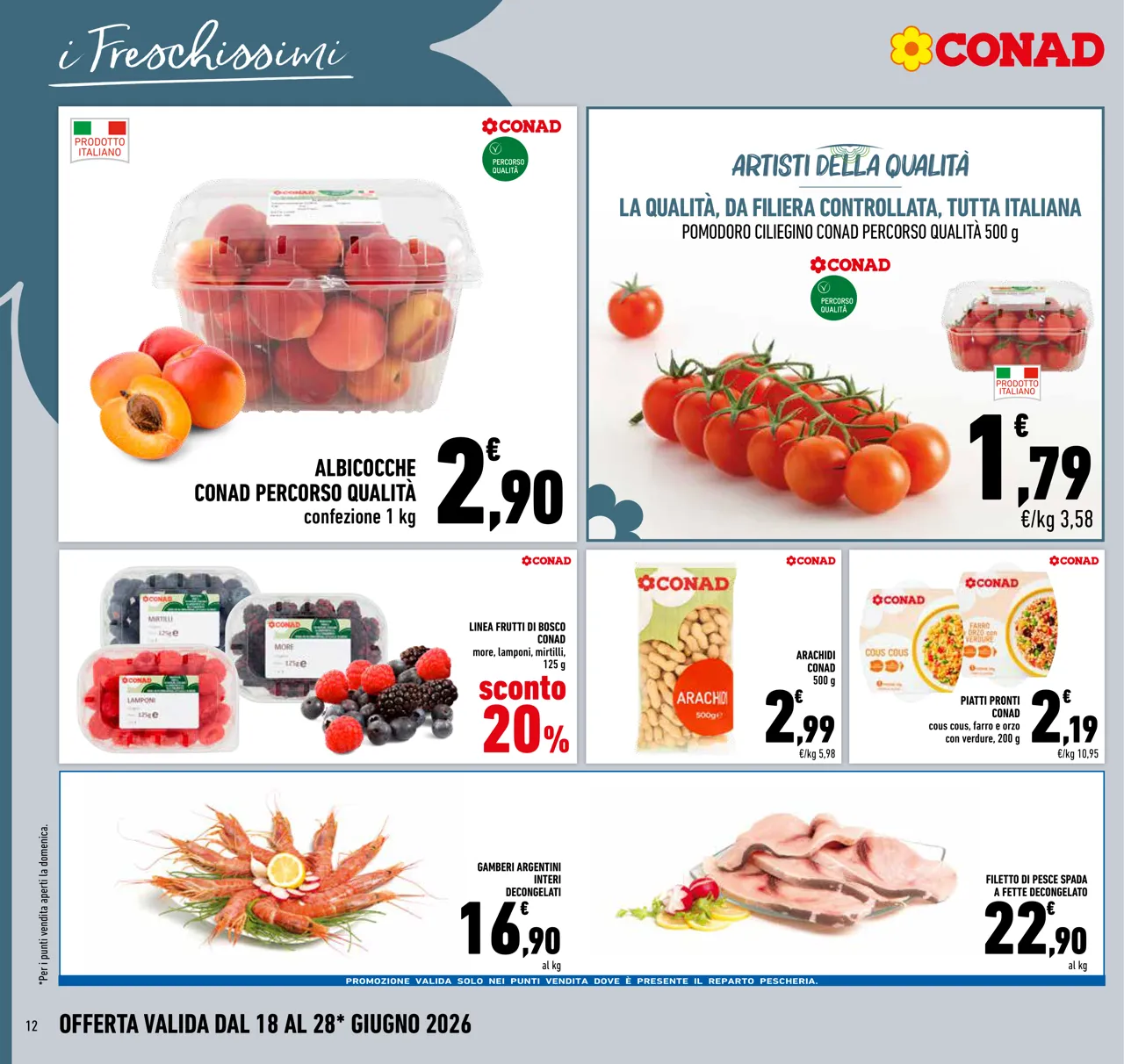 Pagina 12